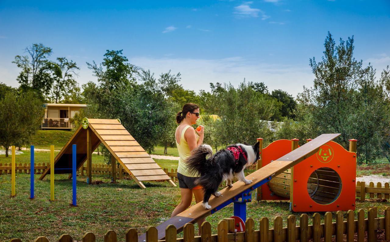 Aminess Maravea Camping Resort Holiday Homes Новиград Екстериор снимка
